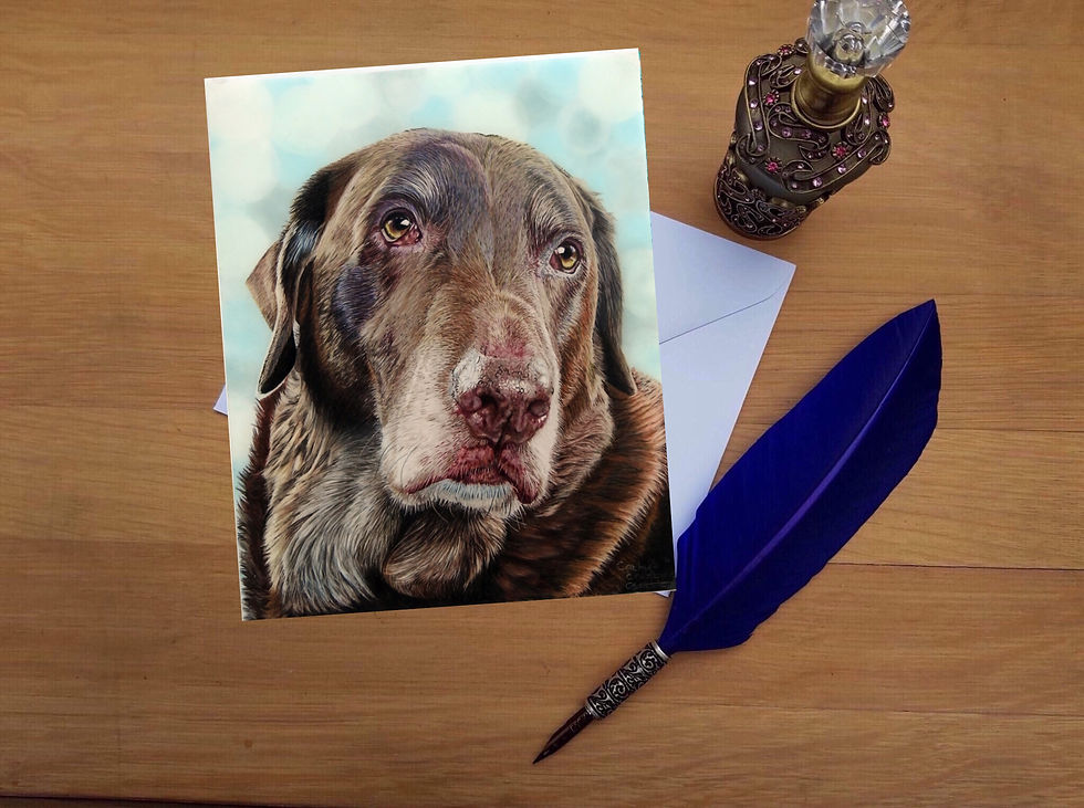 Chocolate Labrador greetings card