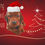 Thumbnail: Irish Setter puppy Christmas card