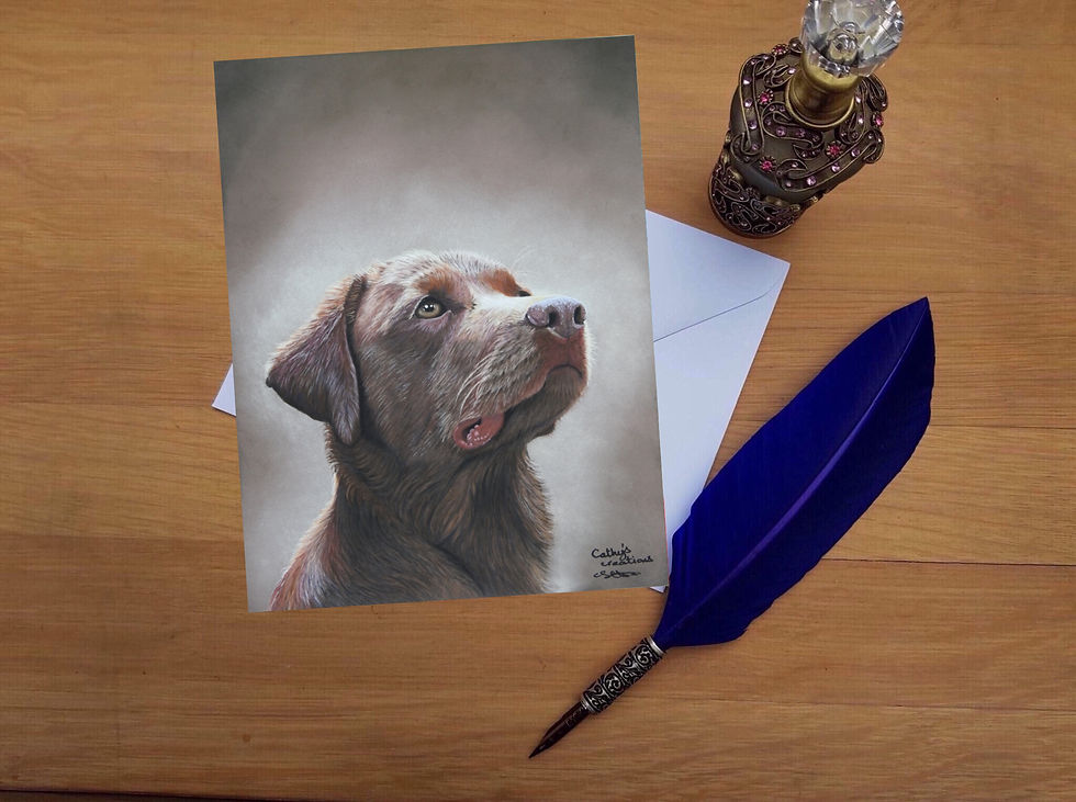 Chocolate Labrador greetings card
