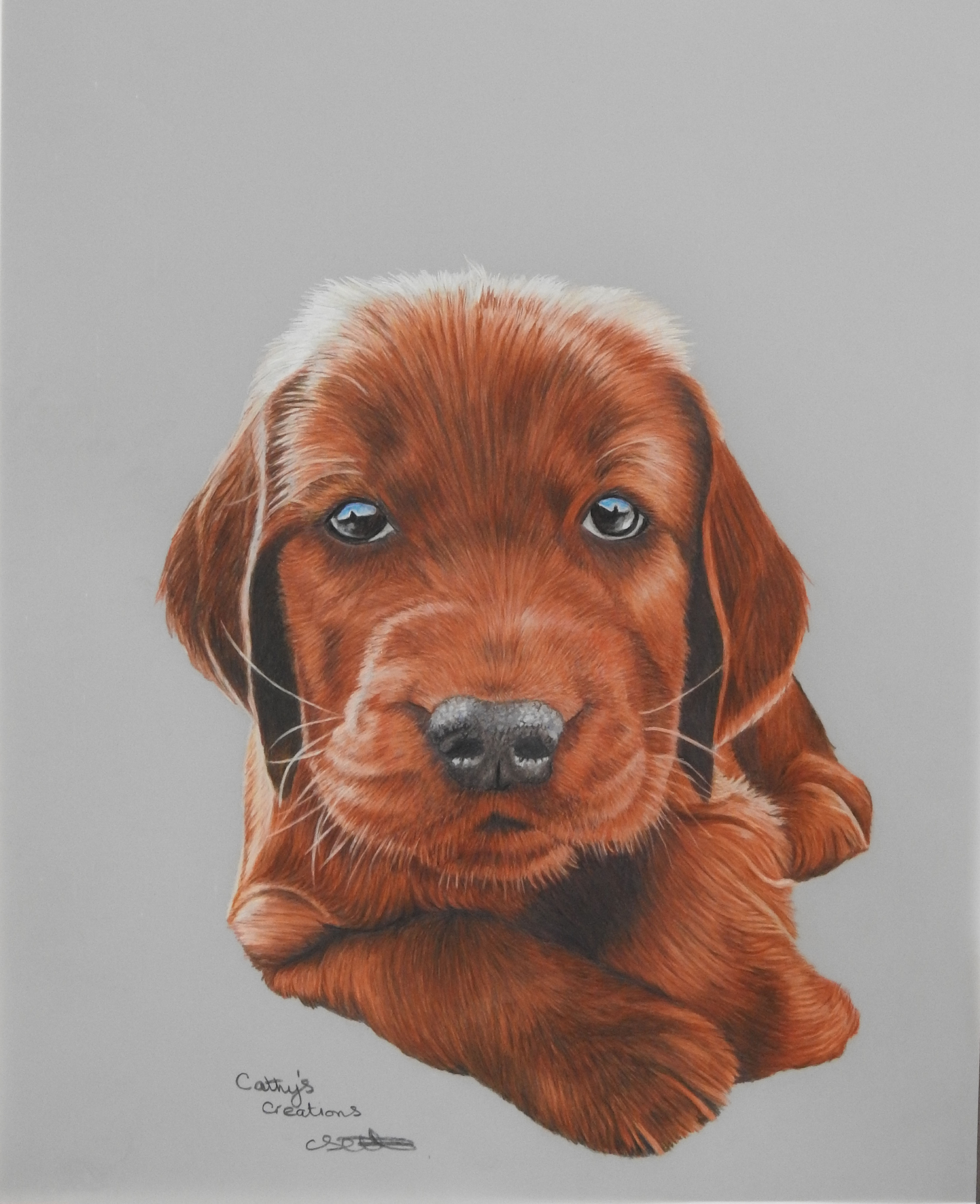 Irish Setter Puppy