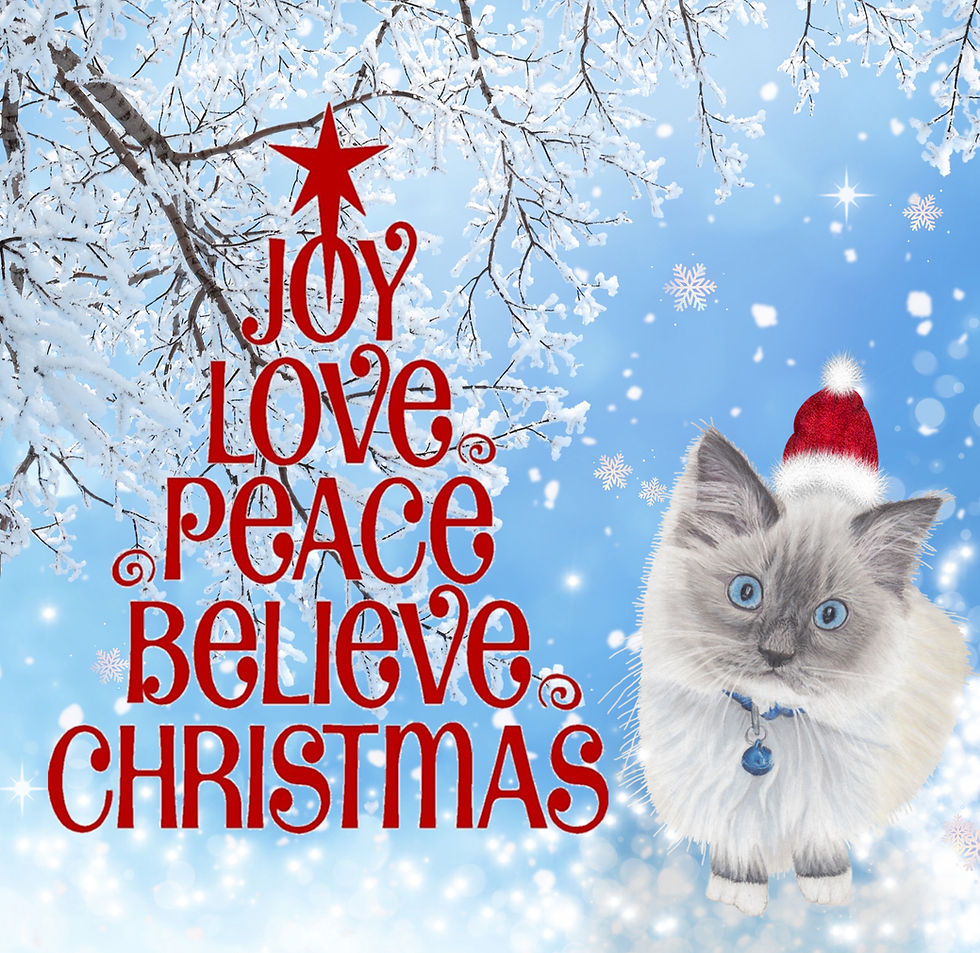 Thumbnail: Ragdoll kitten Christmas card