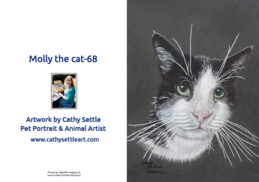 Thumbnail: Molly the Black and white cat greetings card