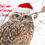 Thumbnail: Owl Christmas card
