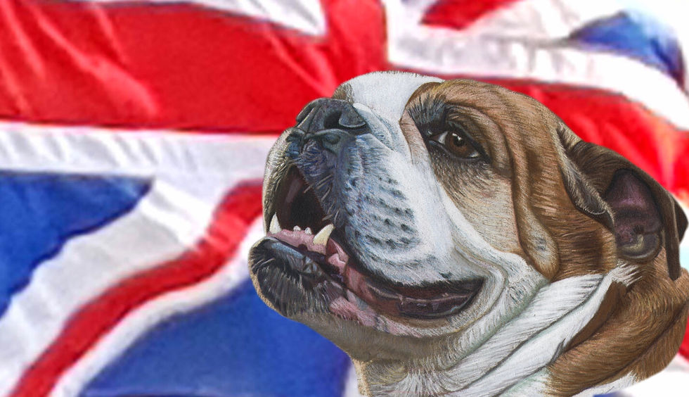 Thumbnail: British Bulldog greetings card.