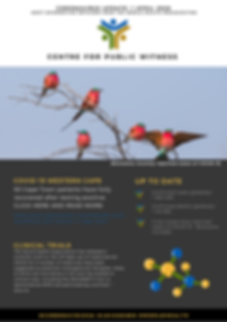 SPG - newsletters (1).png