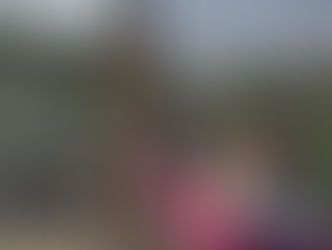 Delivering an animal-based visitor experience that stands out