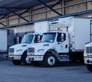 Denuncia señala fallas graves en CCSS por pérdida y vencimiento de insumos