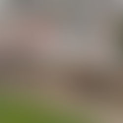 Cartago propone desalojar Los Diques por alto riesgo