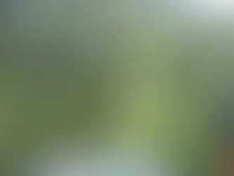 OIJ ejecuta 25 allanamientos por red narco con pistas clandestinas