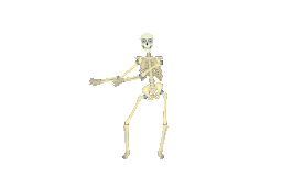 bones-10508_256.gif