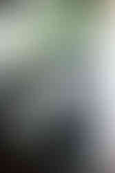 Kitchen Remodel & Home Exterior Refresh by Lake Lumber