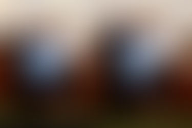 LABATE E LUIJKS SONO DUE NUOVE CALCIATRICI DELLA LAZIO