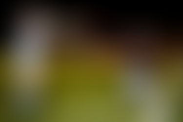 Australia: una proposta speciale a fine match