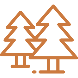 Issaquah Tree Care