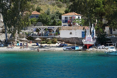 hydra-3878621_1280.jpg