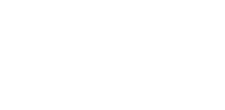 White on White.png