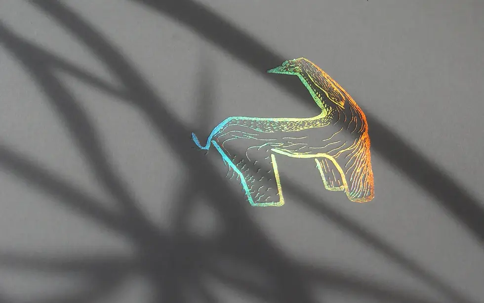 Miniatura: Colección animales