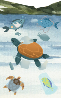 The Great Pacific Garbage Patch: What to Know