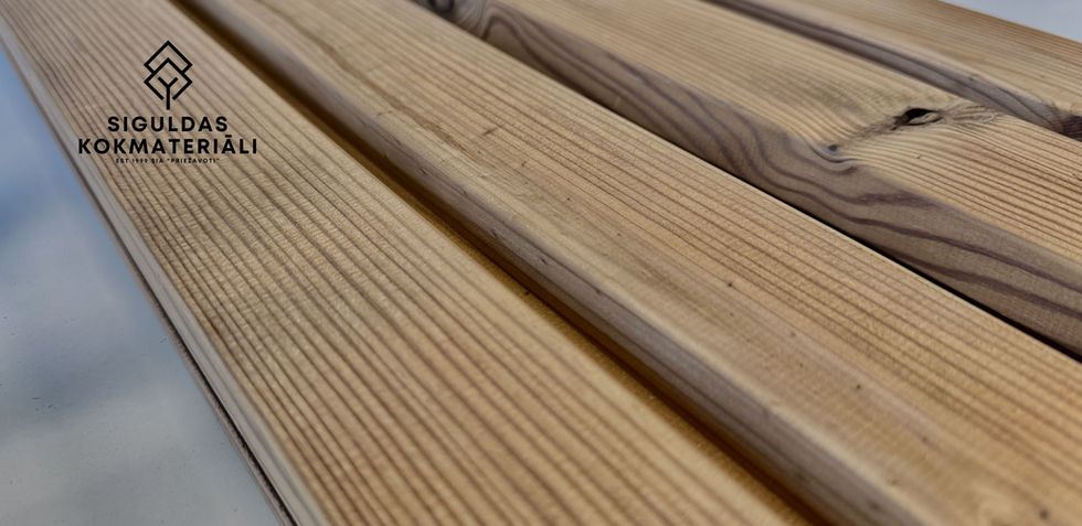 Termokoka fasādes apdare ar pusspundes dēļiem dizains 2 / Thermowood facade cladding with ship-lap boards design 2