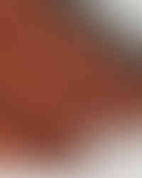 Beice koksnei nodrošina impregnēšanu un saglabā matētu, dabisku koksnes izskatu.