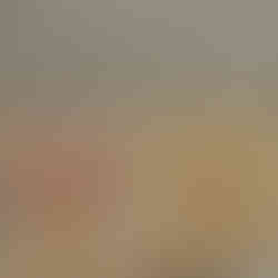 Siguldas Kokmateriāli MĀJA I 2026 izstādē fasādes dēlis latojums