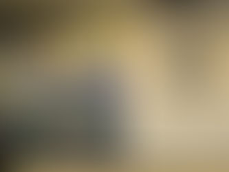 Le dernier Monet Paysages d`eau