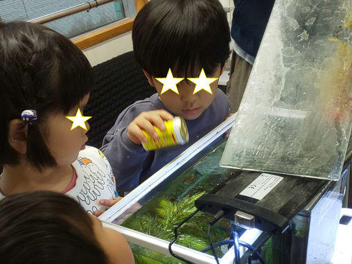 生き物の餌やり