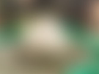 でたっ!!