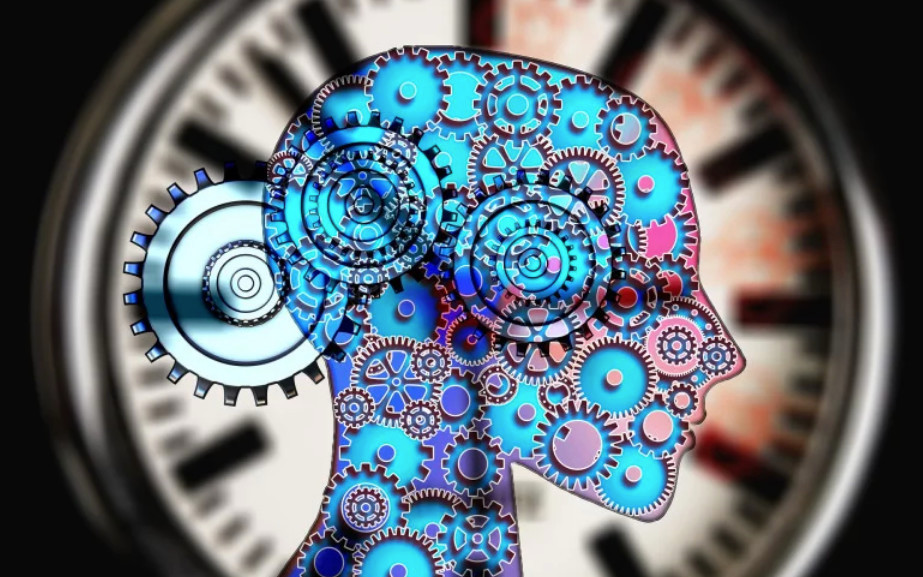 Head Silhouette with Gears Inside of It