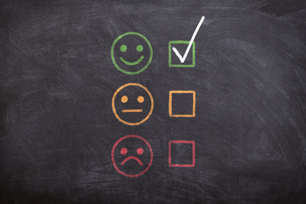 Red Yellow Green Feedback Checkbox