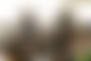 Take the Frustration Out of Project Execution