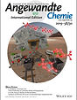 anie.v58.30.cover.jpg