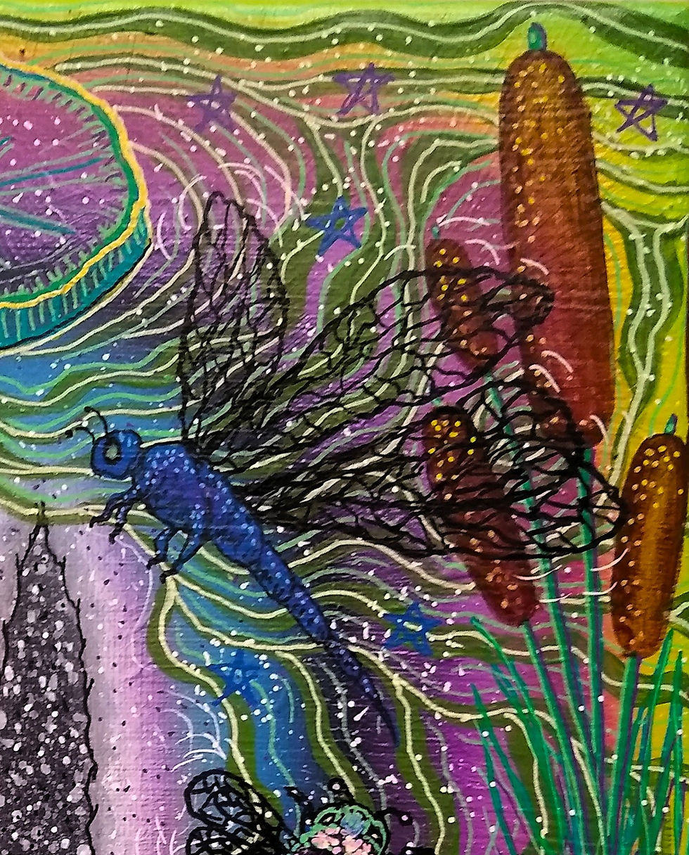 Thumbnail: Cover Art, spiral notebook, cosmic pond, colorful metaphysical art,  portal, stars, dragonfly, cat tails.