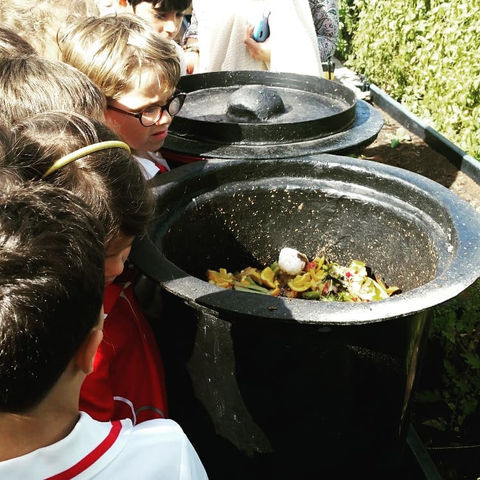 Wonderful Garbage Worms