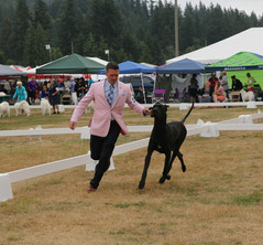 IMG_3809_edited.jpg