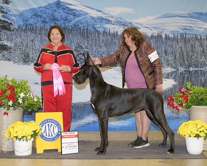 Am CGH Legado N Danekraaft's Defying Gravity AOM x 2, BCAT
Goes Group 1st AKC Owner Handler