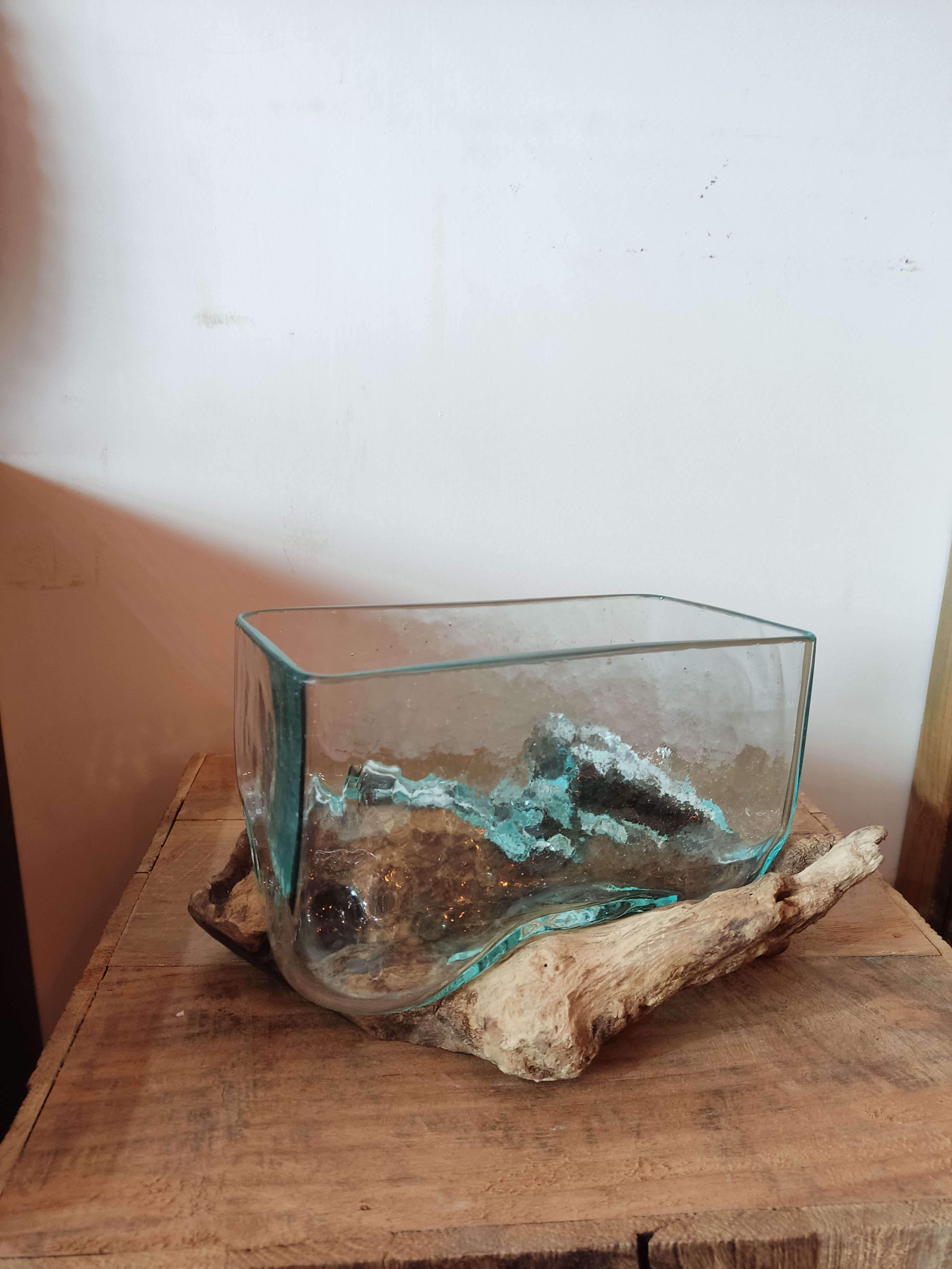 Square Blown Molten Glass on Wood Root Base Terrarium/Bowl MSG 103