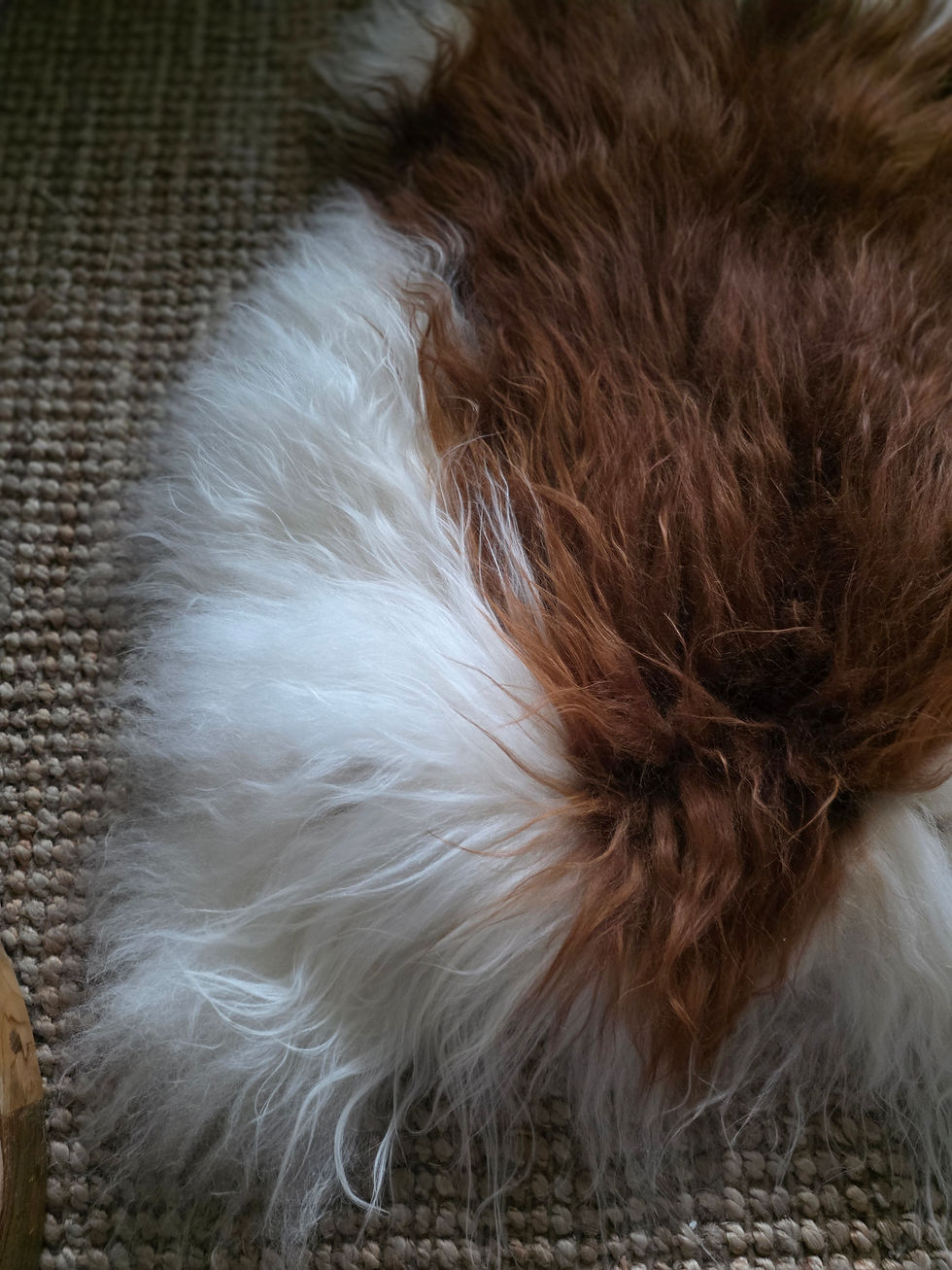 Thumbnail: White Fire Icelandic Sheepskin 7th Element Living Irish Interior Design trends Dublin Cork Galway