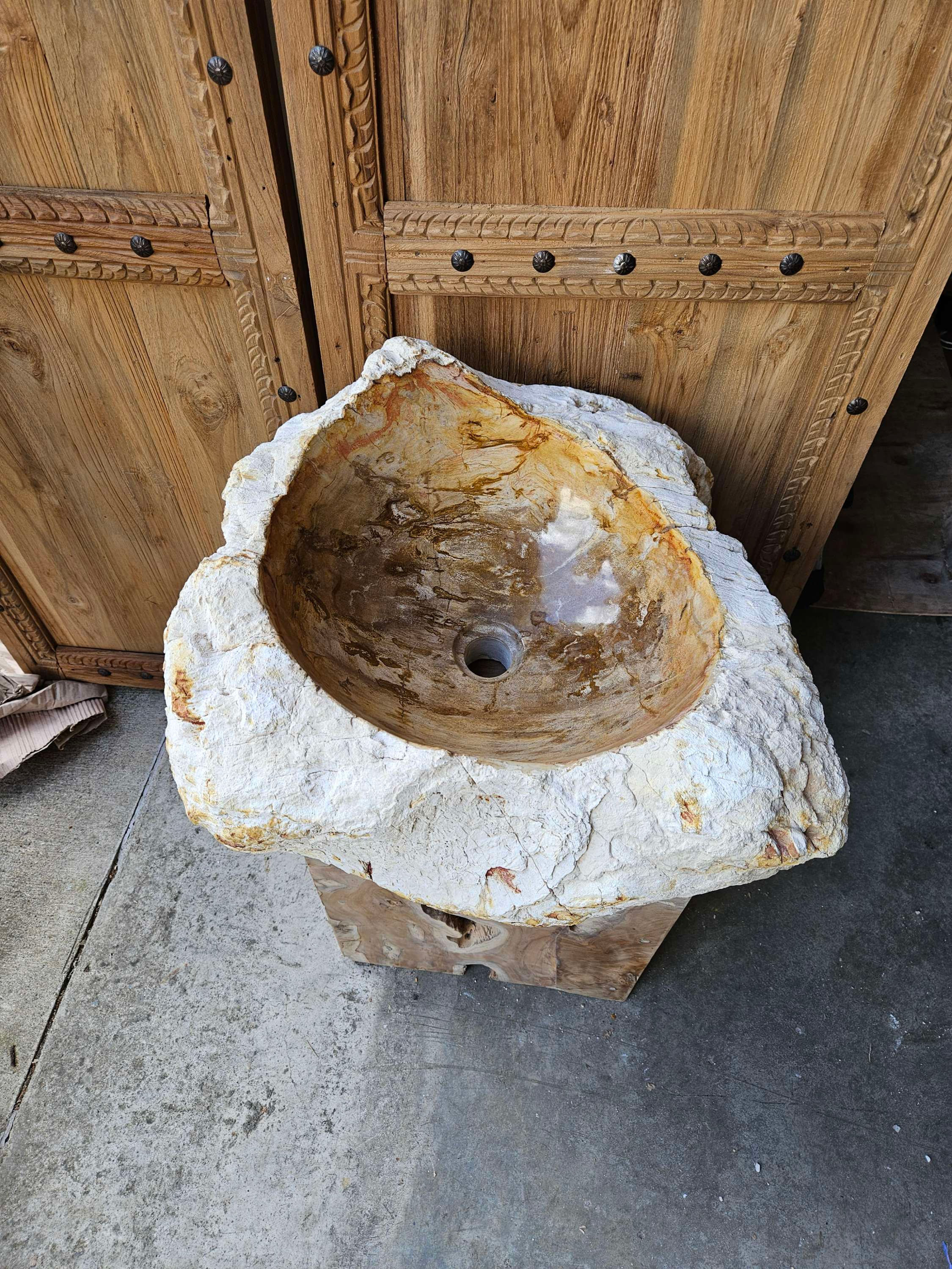 Large Raw Petrified wood/Fossil Sink  (FS 240226)