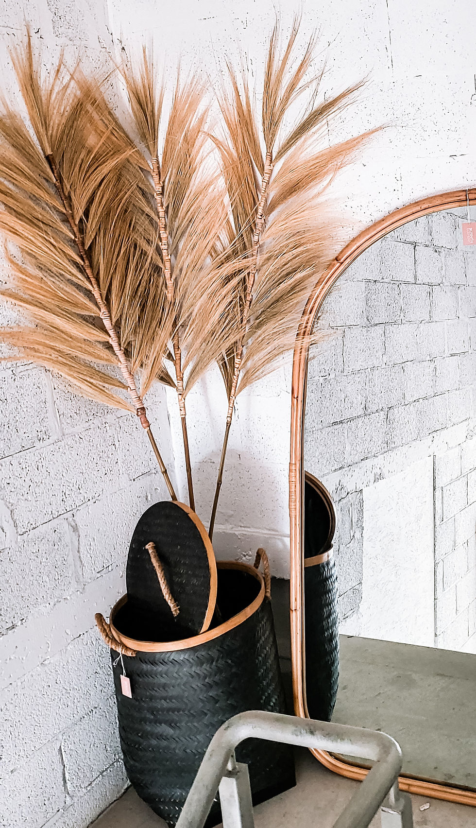 Thumbnail: PAMPAS - EXOTIC TALL STRAW GRASS FRONDS

