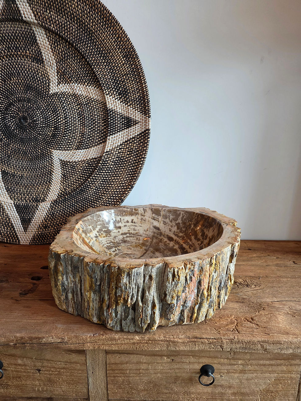 Thumbnail: Petrified wood Stone Fossil Sink modern bathroom sink 7th element Ireland
