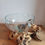 Thumbnail: Blown Molten Glass on Wood Root Base Terrarium/Bowl 7th Element Ireland