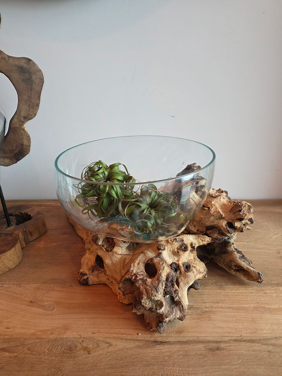Thumbnail: Blown Molten Glass on Wood Root Base Terrarium/Bowl 7th Element Ireland