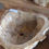 Thumbnail: Petrified wood/Fossil Sink  (FB130224)
