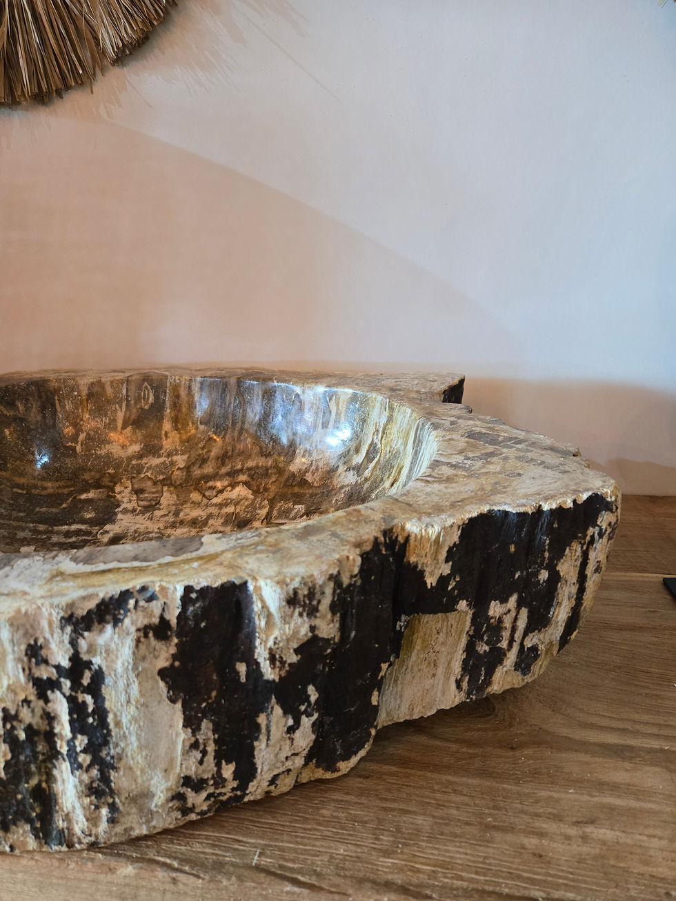 Thumbnail:  Cream Black Petrified wood/Fossil Sink  (FSB 250802)