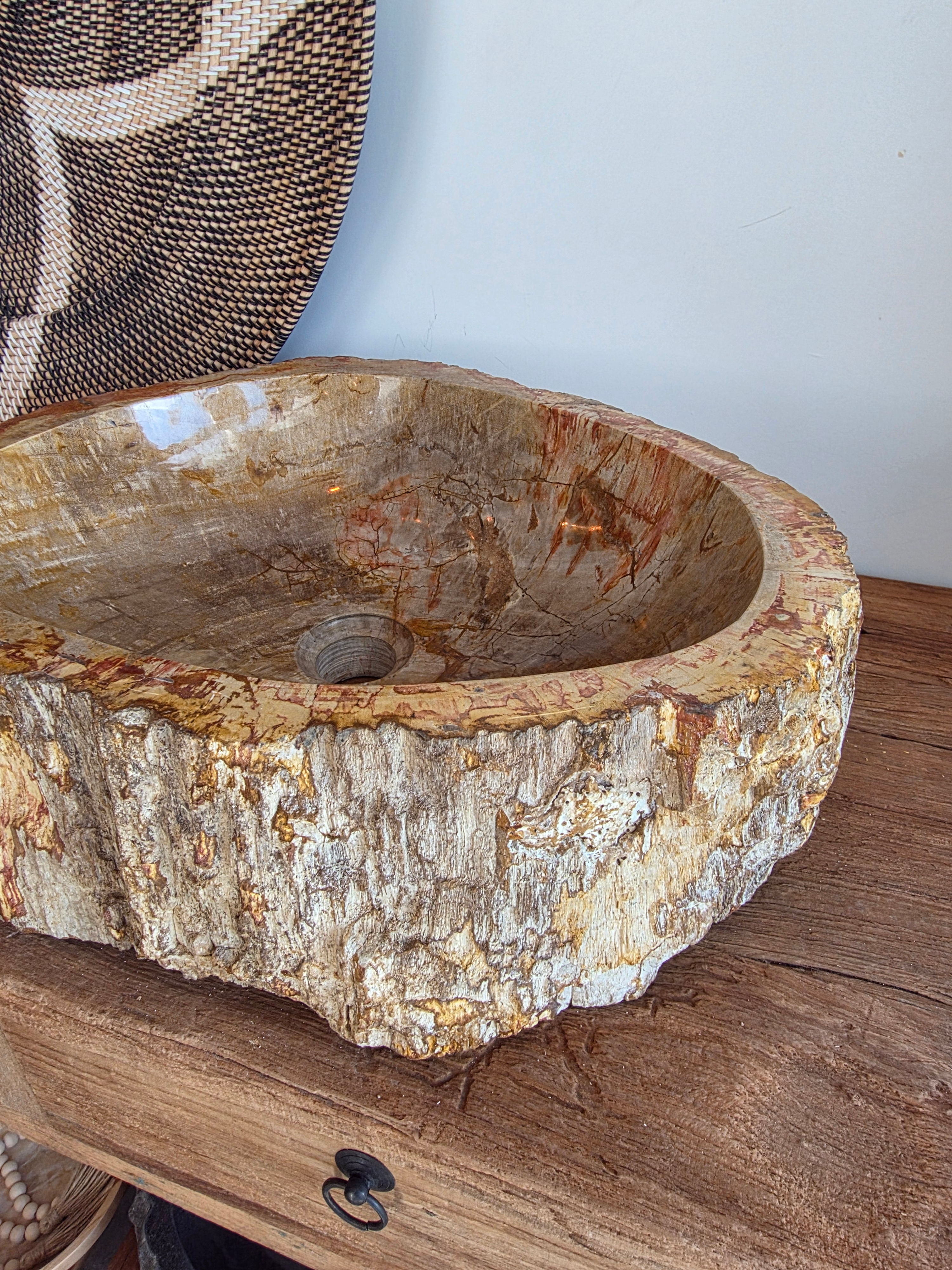 Petrified wood Stone Fossil Sink (FS 240606)