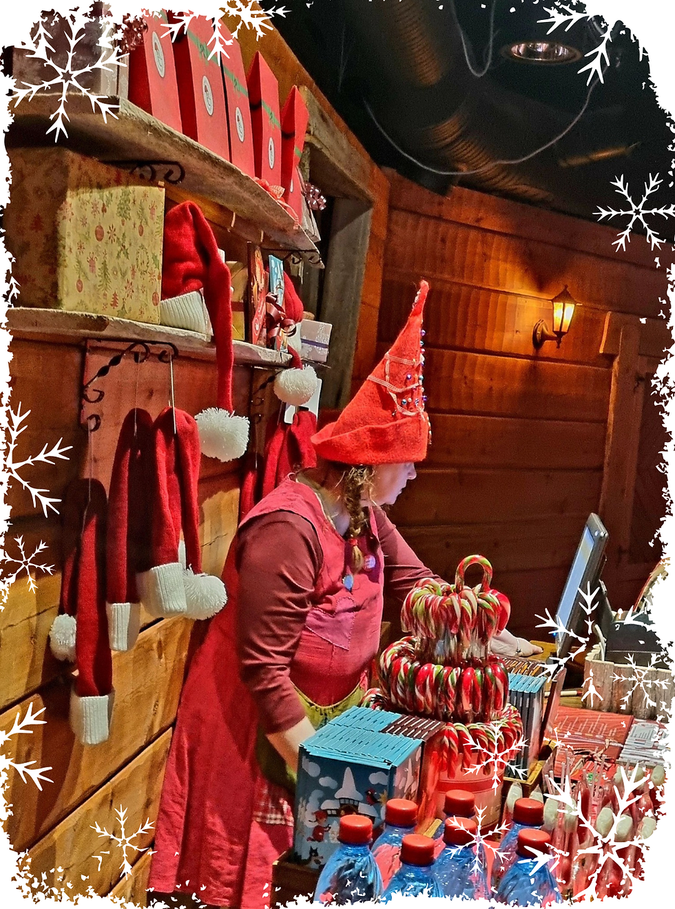 MY INCREDIBLE TRIP TO ... LAPLAND, FINLAND, 2025