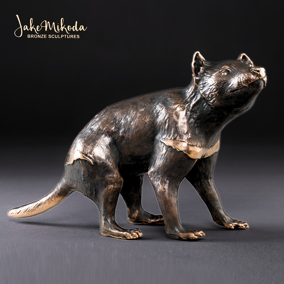 Thumbnail: Tasmanian Devil medium size