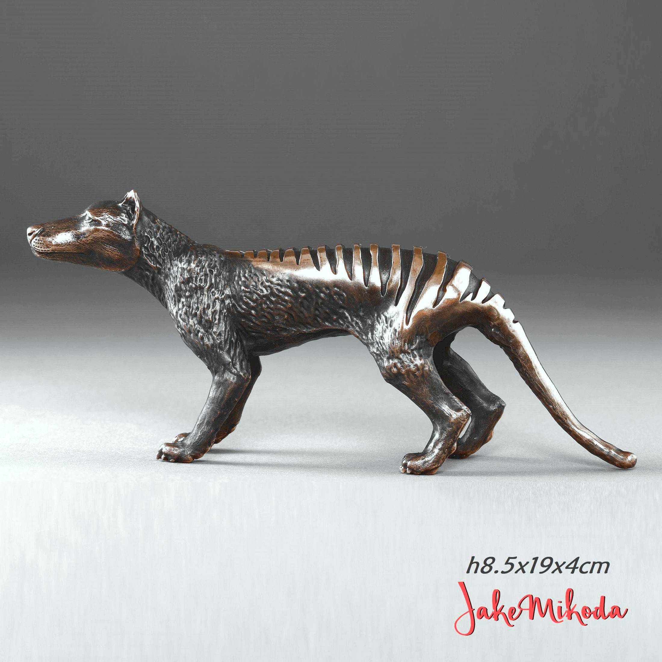 Thylacine / Tasmanian Tiger