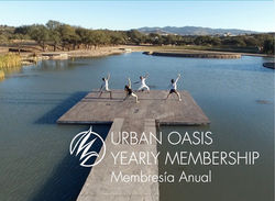 117388235_2702656643310788_7053924471057674155_n